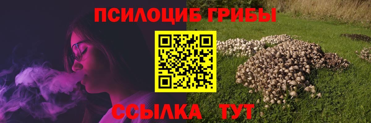 Псилоцибиновые грибы мицелий  Псилоцибиновые грибы Cubensis  Вход с VPN  Лесосибирск 